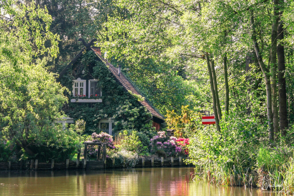 Frühling am Spreewaldfließ