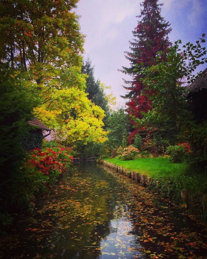 Oktober am Spreewaldfließ