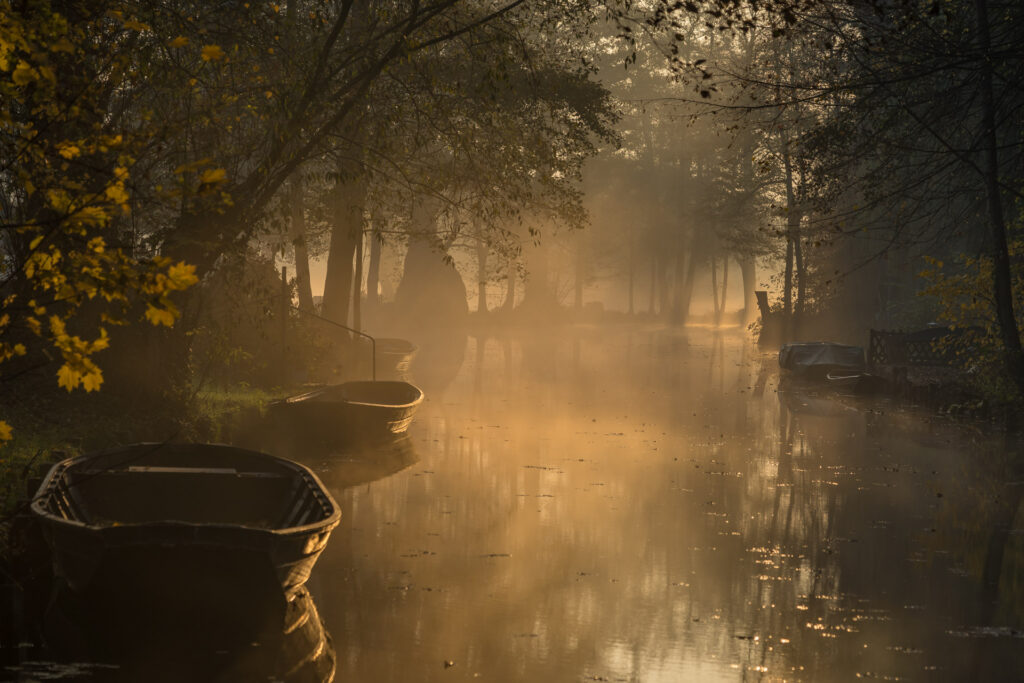 Nebel im Spreewald bei Lübbenau