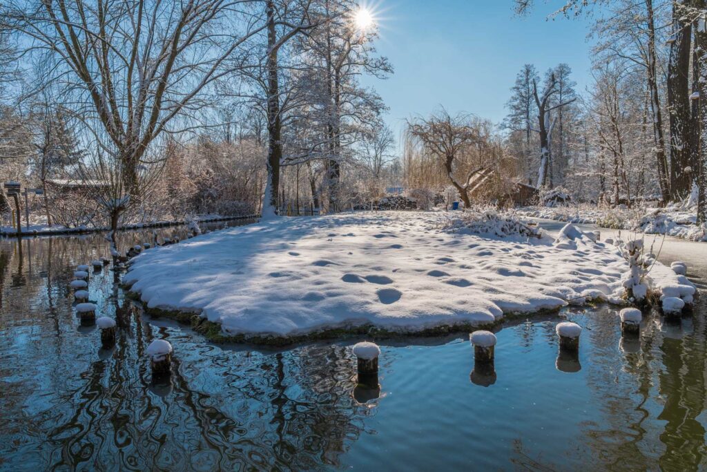 Winter am Stau in Lehde